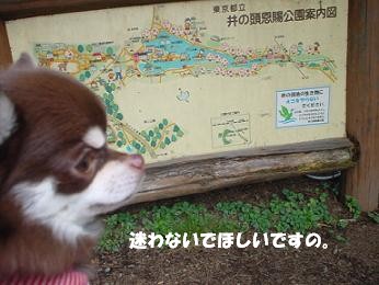 DSC04802.JPG