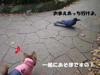 DSC04808.JPG