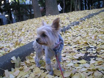IMG_4366.JPG