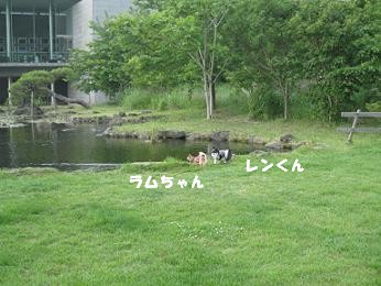 IMG_6115.JPG