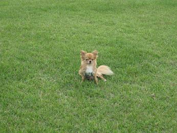 IMG_6125.JPG